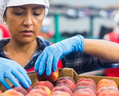 woman-food-manufacturing