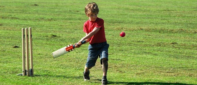 A boy playing cricket at a BBQ event