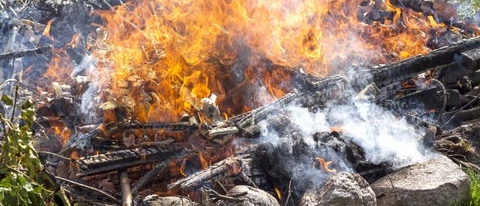 Bonfire-in-garden