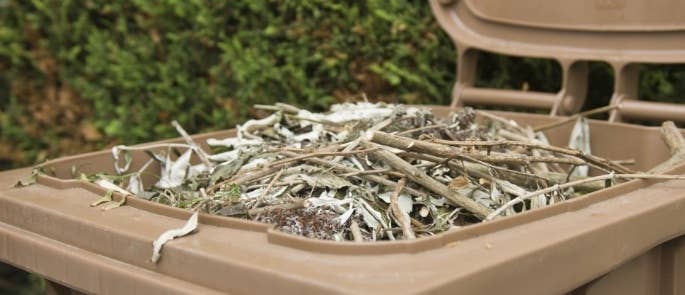 Brown garden waste wheelie bin