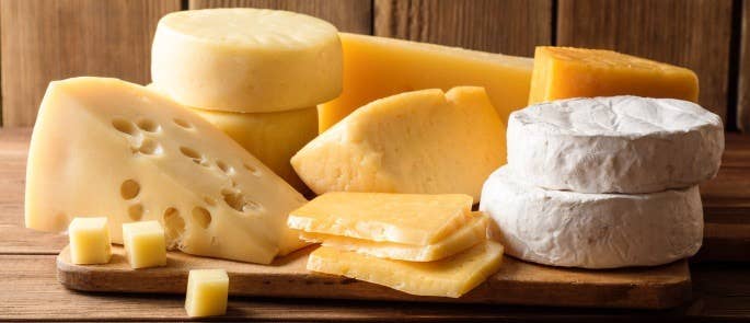 A plate of hard and soft cheeses