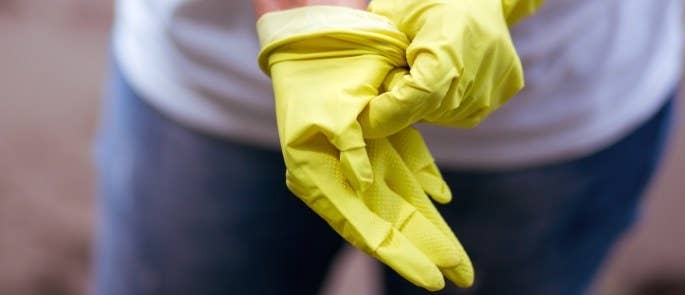 Cleaner putting on cleaning gloves