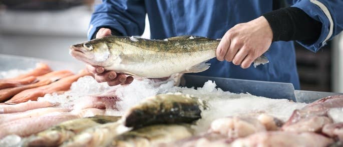 Fishmonger holding raw fish