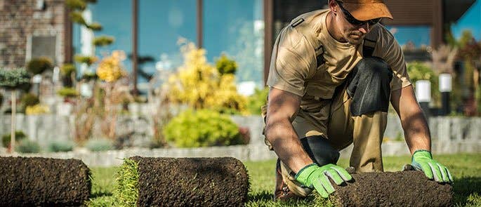 Man laying some grass down