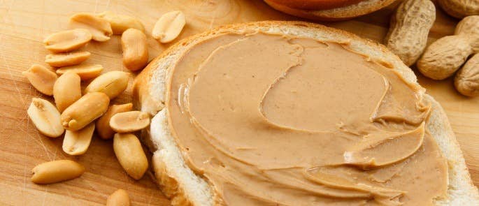 Peanut Butter Sandwich