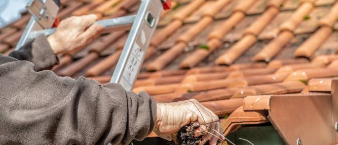 Person using ladder to clean out guttering