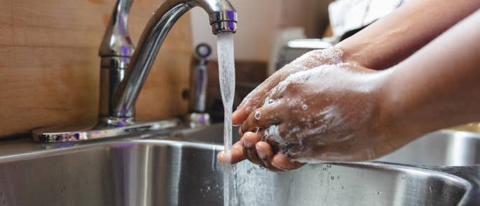 Person washing hands with soap