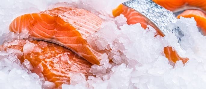 Raw salmon on ice