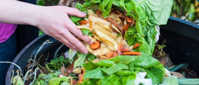 A woman demonstrating sustainable food practices